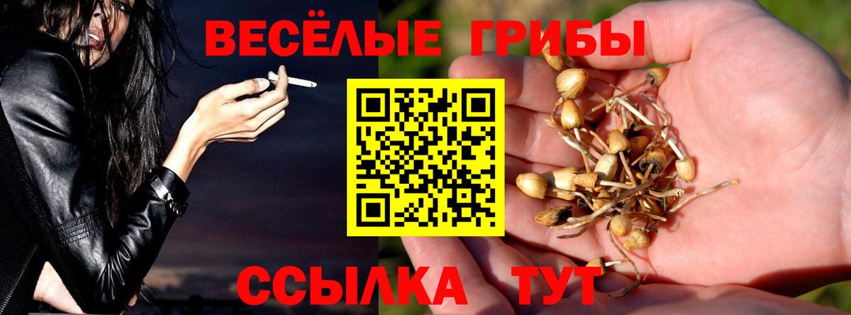 Галлюциногенные грибы Magic Shrooms Майский